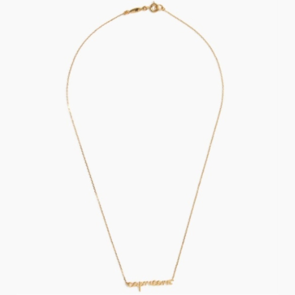 Madewell Vermeil Gold Sterling Capricorn Necklace